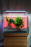 UNS 60T - 25.6 Gallon Ultra Clear Rimless Aquarium