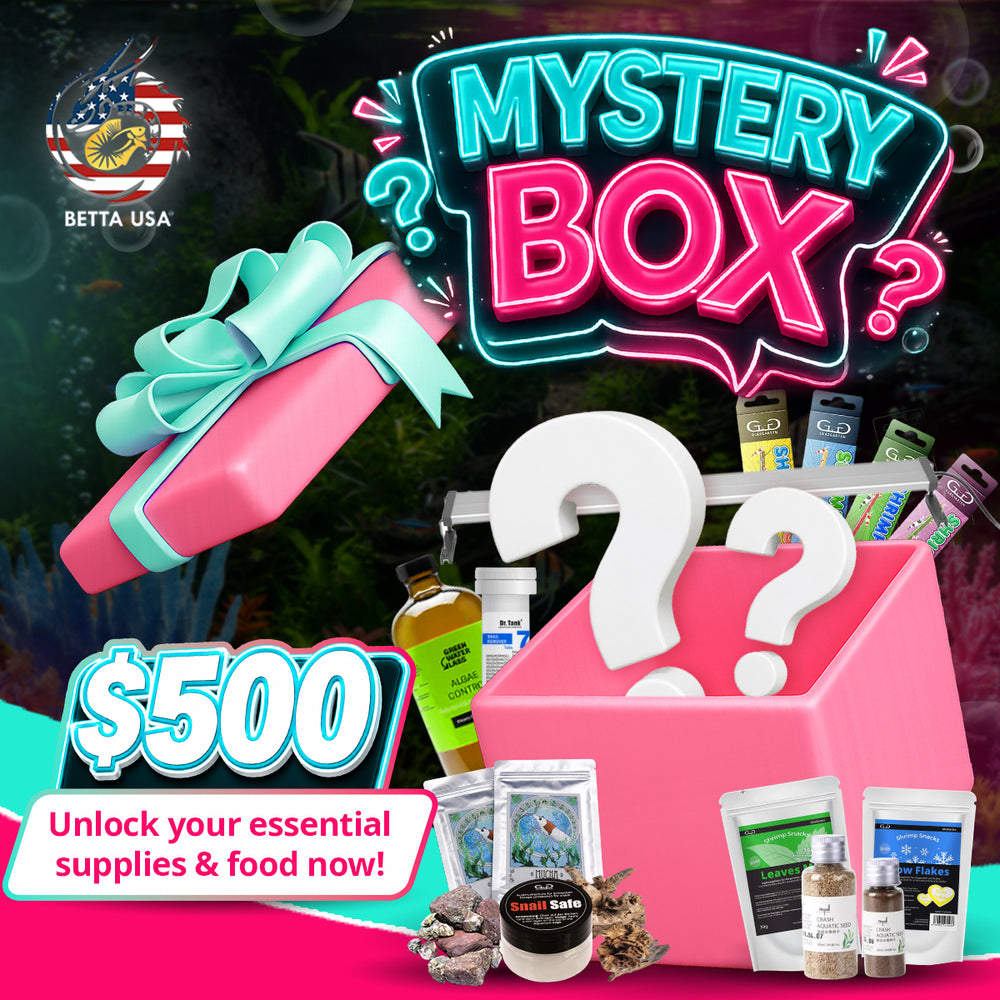 Mystery Box – Dry Good $500 - Betta USA Aquatic
