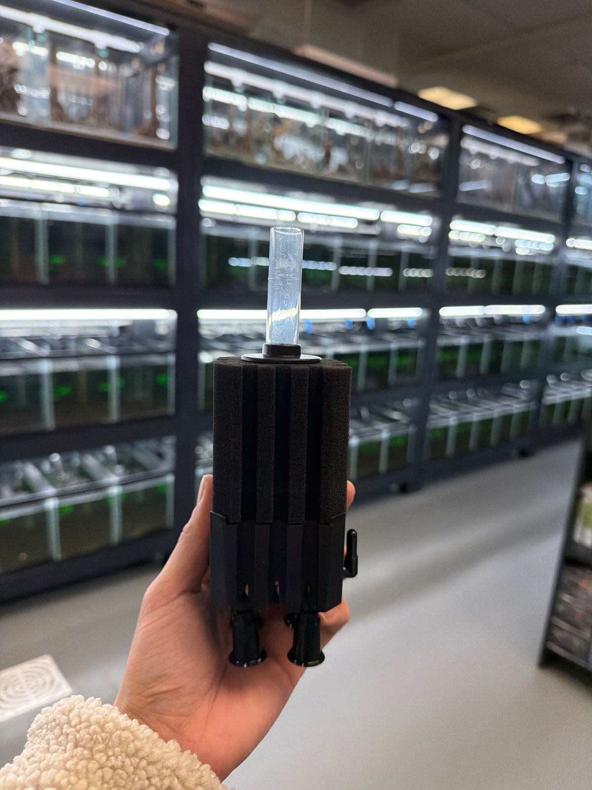 Yee Square Water Sprite Filter