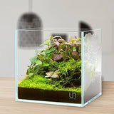 UNS 25C - 4.1 Gallon Ultra Clear Rimless Aquarium
