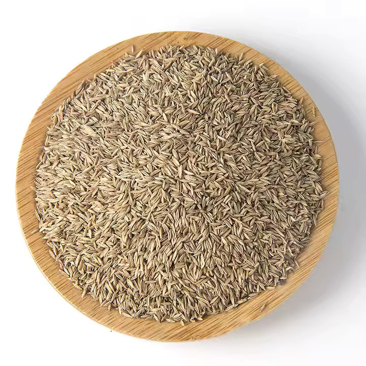 YEE Aquarium Plant Seeds