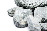 Blue Tegu Stone
