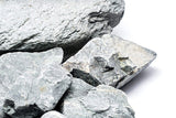 Blue Tegu Stone