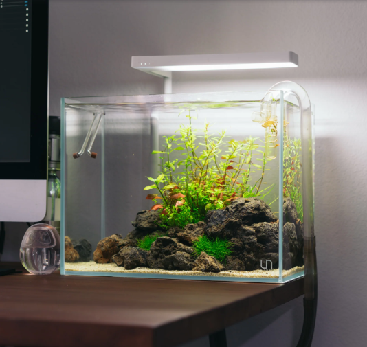 UNS 3T - 3.7 Gallon Ultra Clear Rimless Aquarium