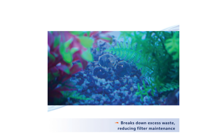 Aqueon PURE Live Beneficial Bacteria
