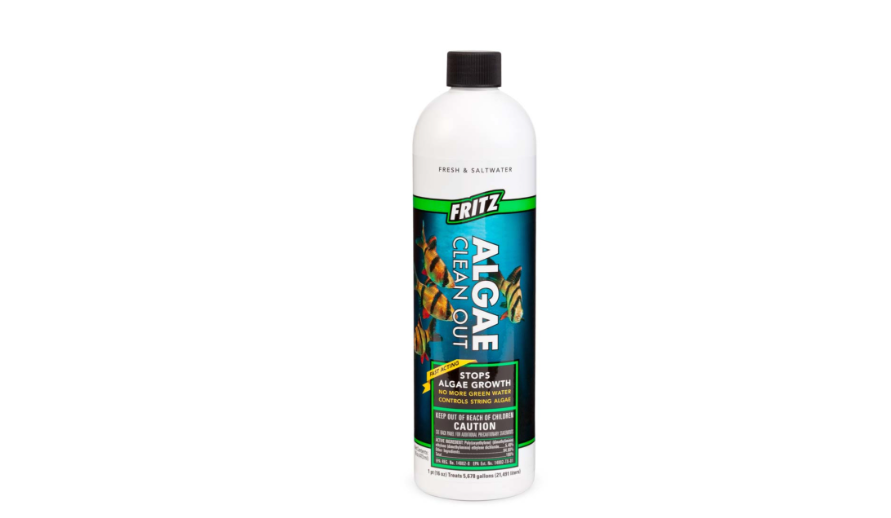 Fritz Algae Clean Out