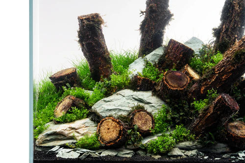 Grey River Slate - Betta USA Aquatic