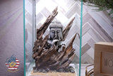 [SCAPE-02] Buddha Aquarium Decor with Driftwood - 3.1 Gallons