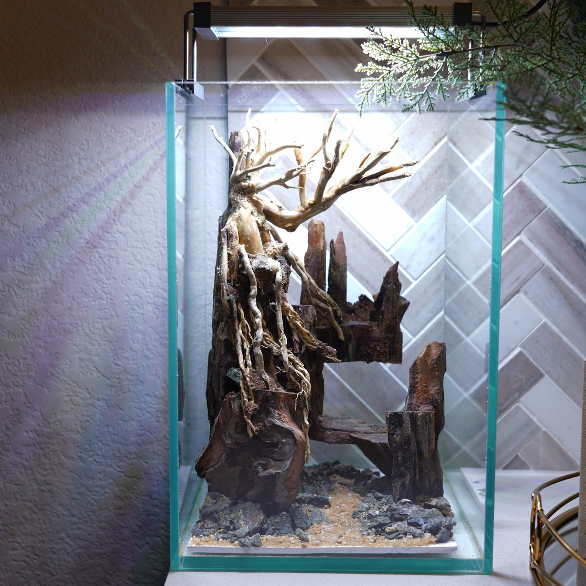 [SCAPE-04] Bonsai Aquarium Decor with Driftwood - 3.1  Gallons