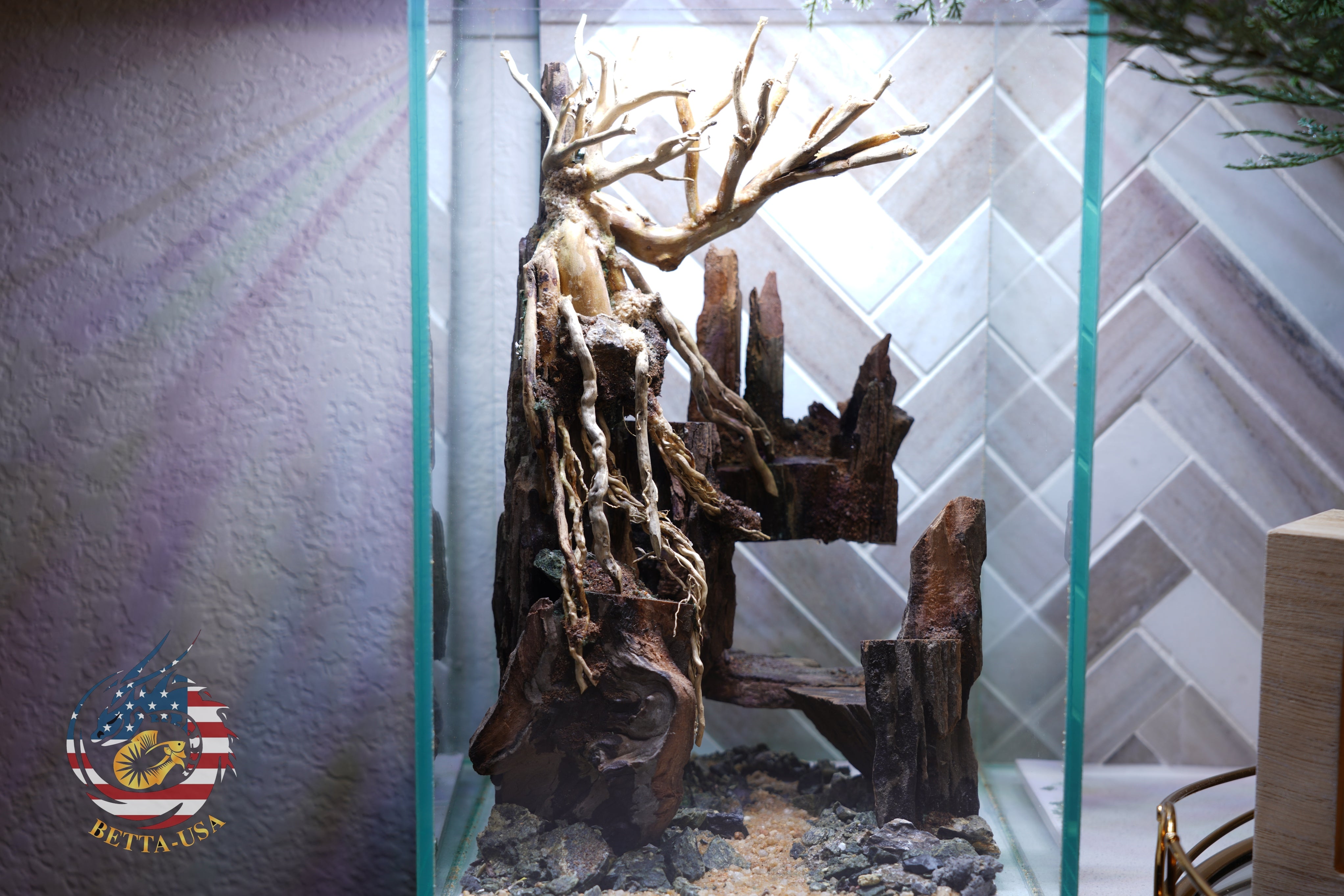 [SCAPE-04] Bonsai Aquarium Decor with Driftwood - 3.1  Gallons