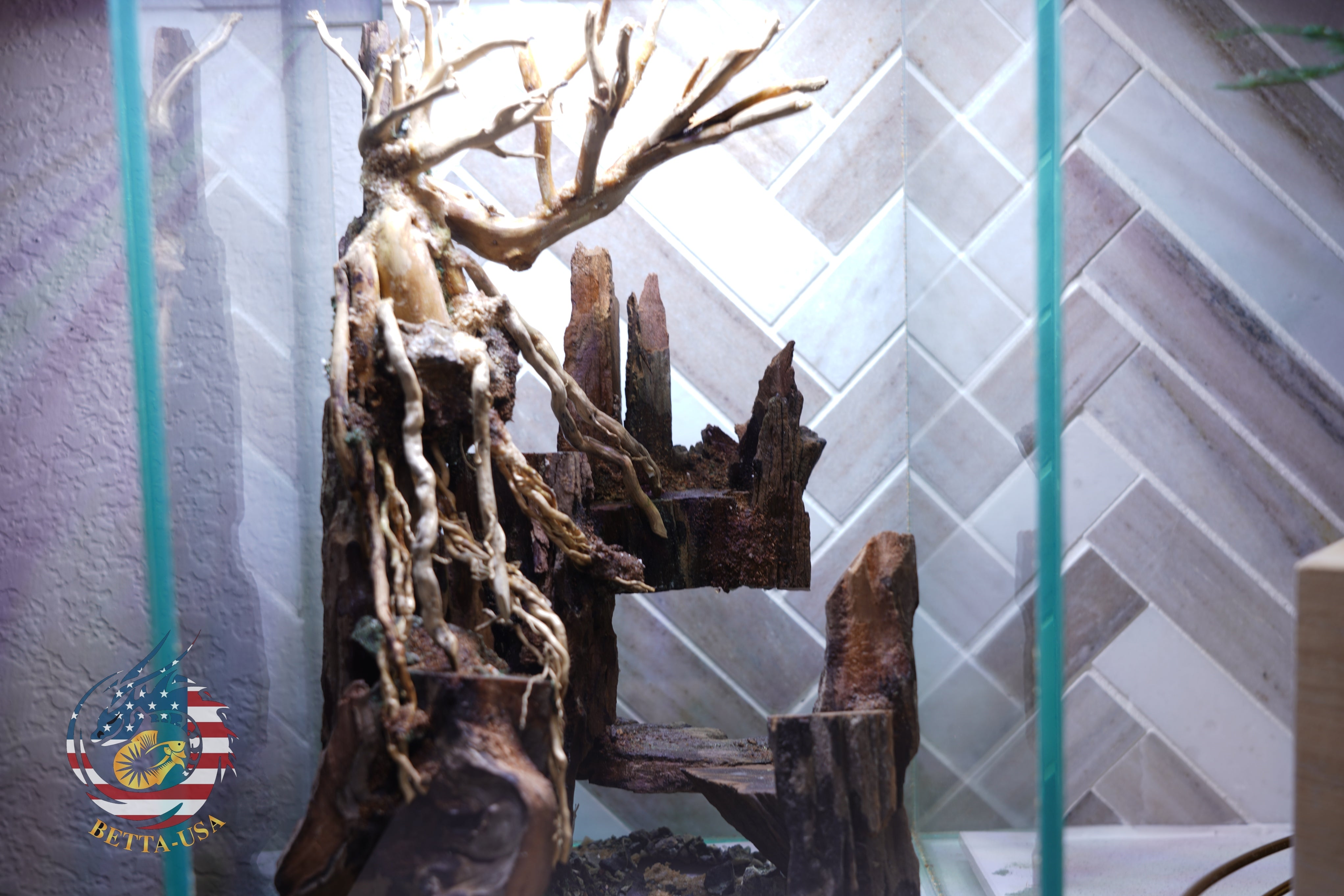 [SCAPE-04] Bonsai Aquarium Decor with Driftwood - 3.1  Gallons