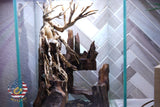 [SCAPE-04] Bonsai Aquarium Decor with Driftwood - 3.1  Gallons