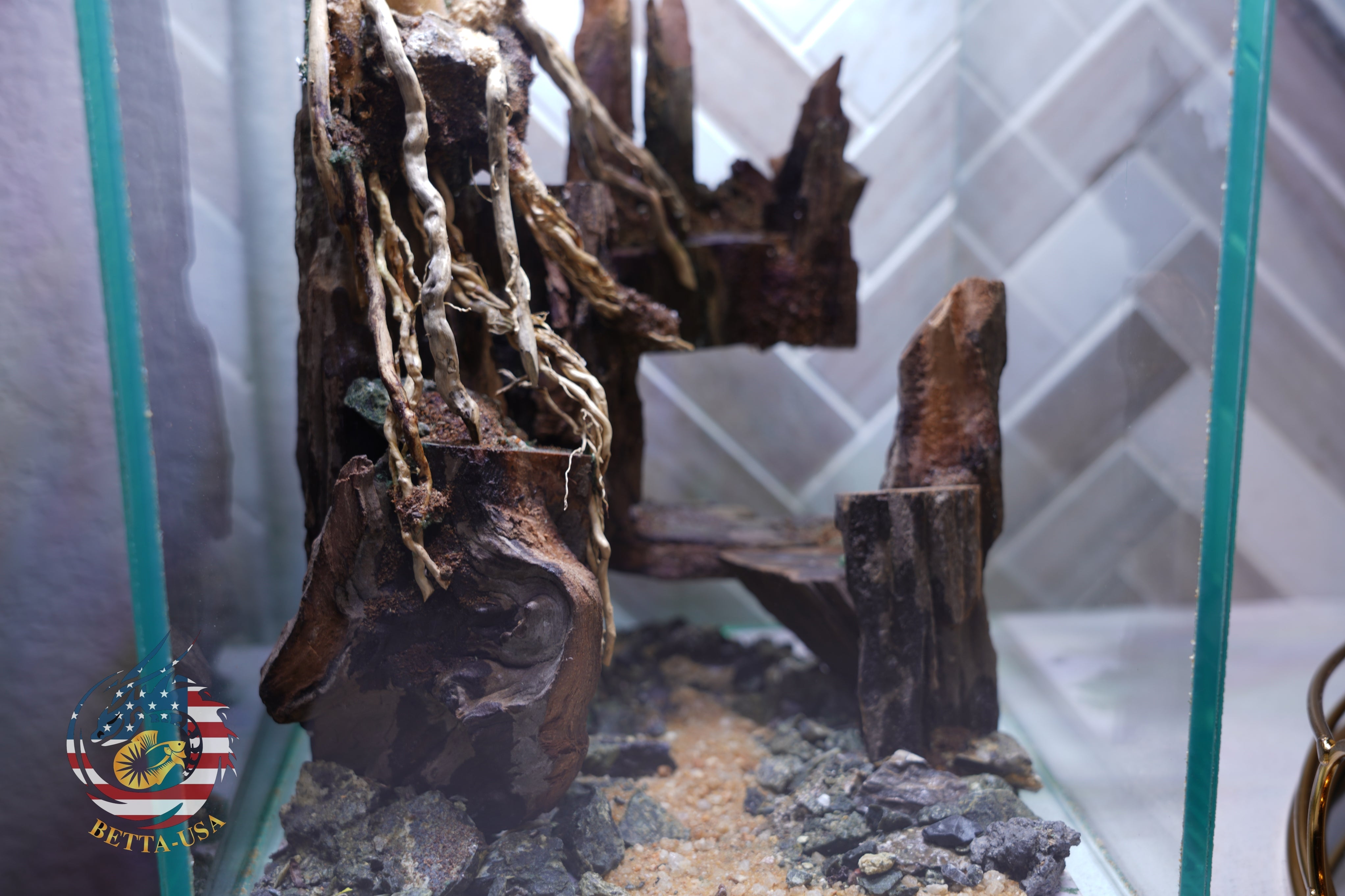 [SCAPE-04] Bonsai Aquarium Decor with Driftwood - 3.1  Gallons