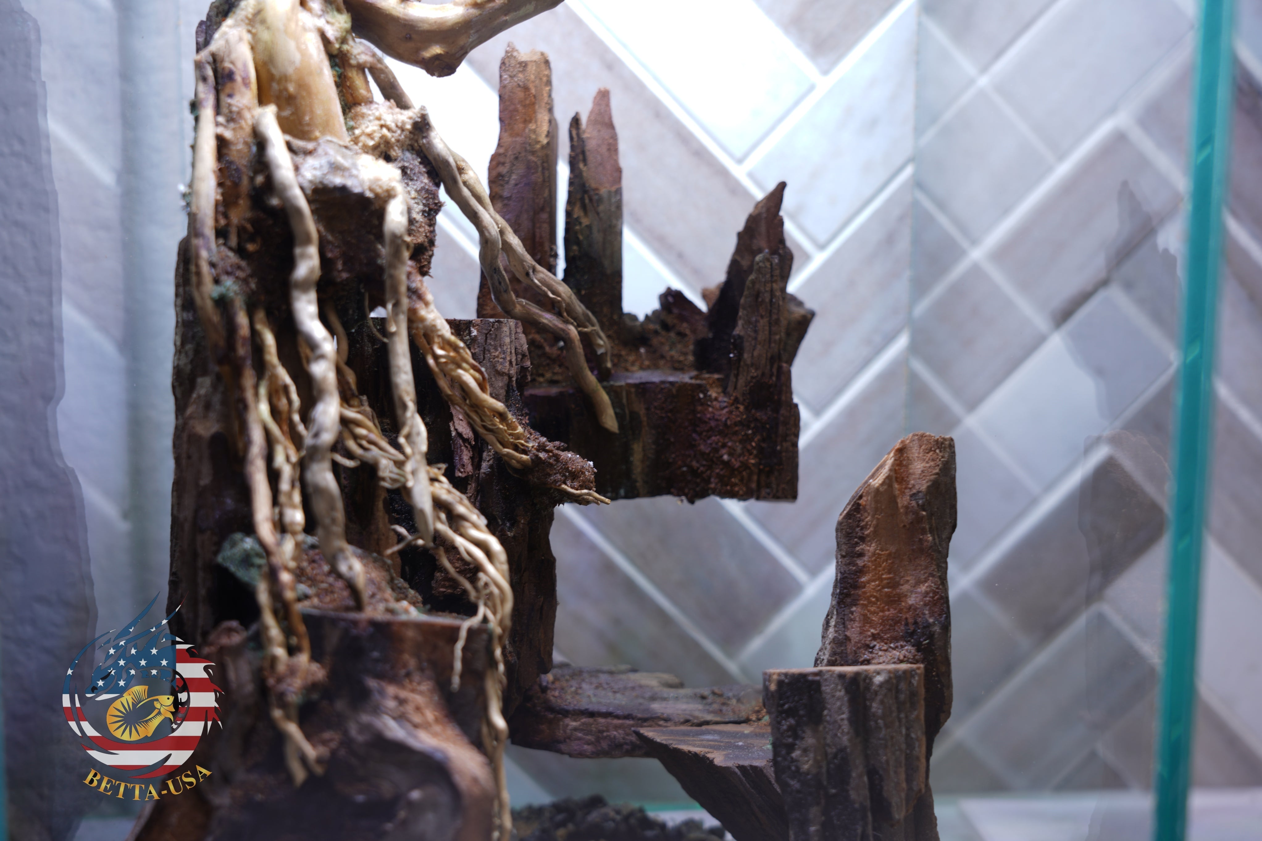 [SCAPE-04] Bonsai Aquarium Decor with Driftwood - 3.1  Gallons