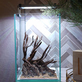 [SCAPE-05] Jungle Aquarium Decor with Driftwood - 3.1 Gallons