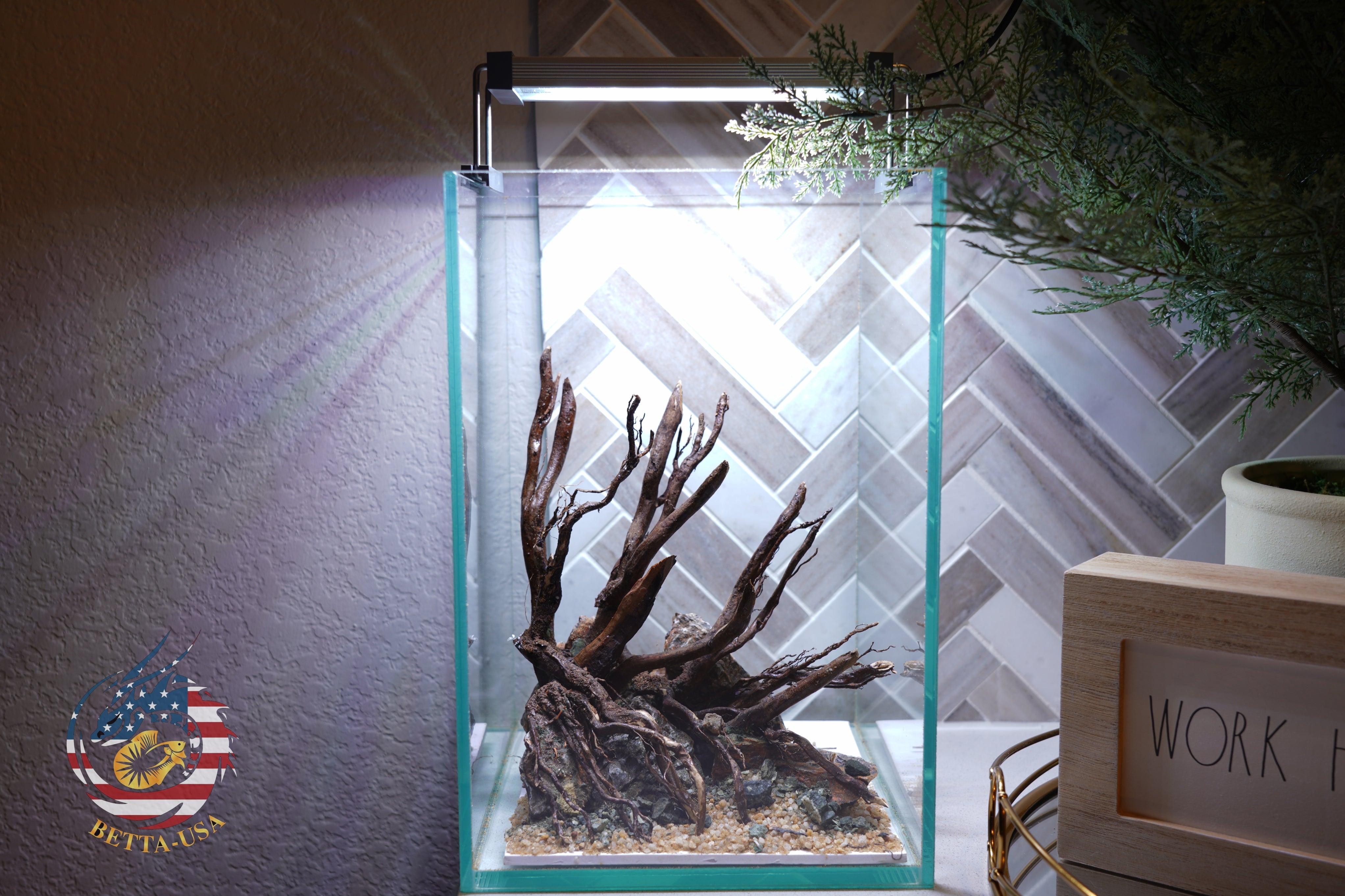 [SCAPE-05] Jungle Aquarium Decor with Driftwood - 3.1 Gallons