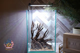 [SCAPE-05] Jungle Aquarium Decor with Driftwood - 3.1 Gallons