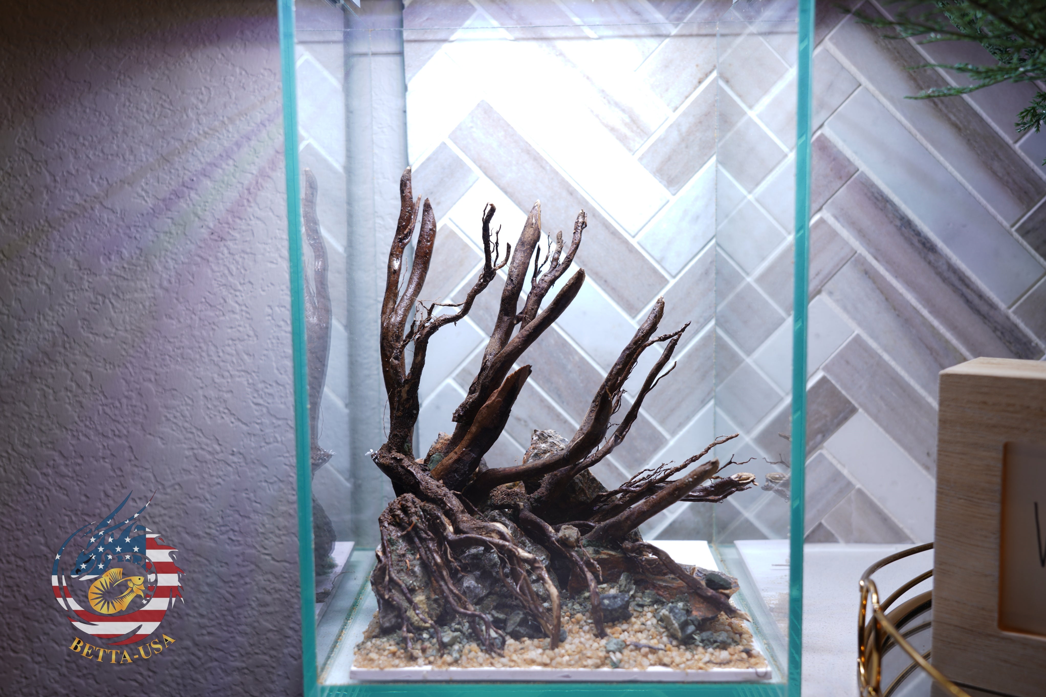 [SCAPE-05] Jungle Aquarium Decor with Driftwood - 3.1 Gallons