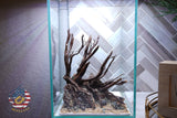 [SCAPE-05] Jungle Aquarium Decor with Driftwood - 3.1 Gallons