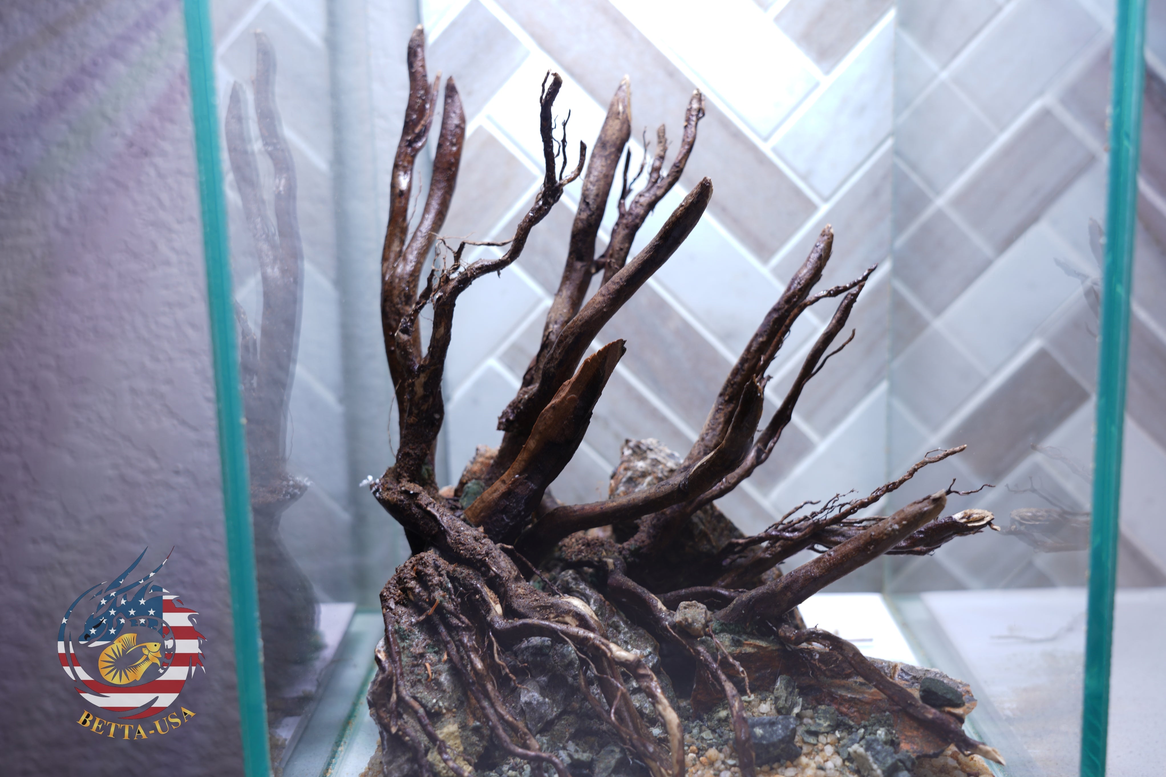 [SCAPE-05] Jungle Aquarium Decor with Driftwood - 3.1 Gallons