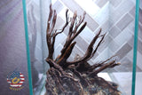 [SCAPE-05] Jungle Aquarium Decor with Driftwood - 3.1 Gallons