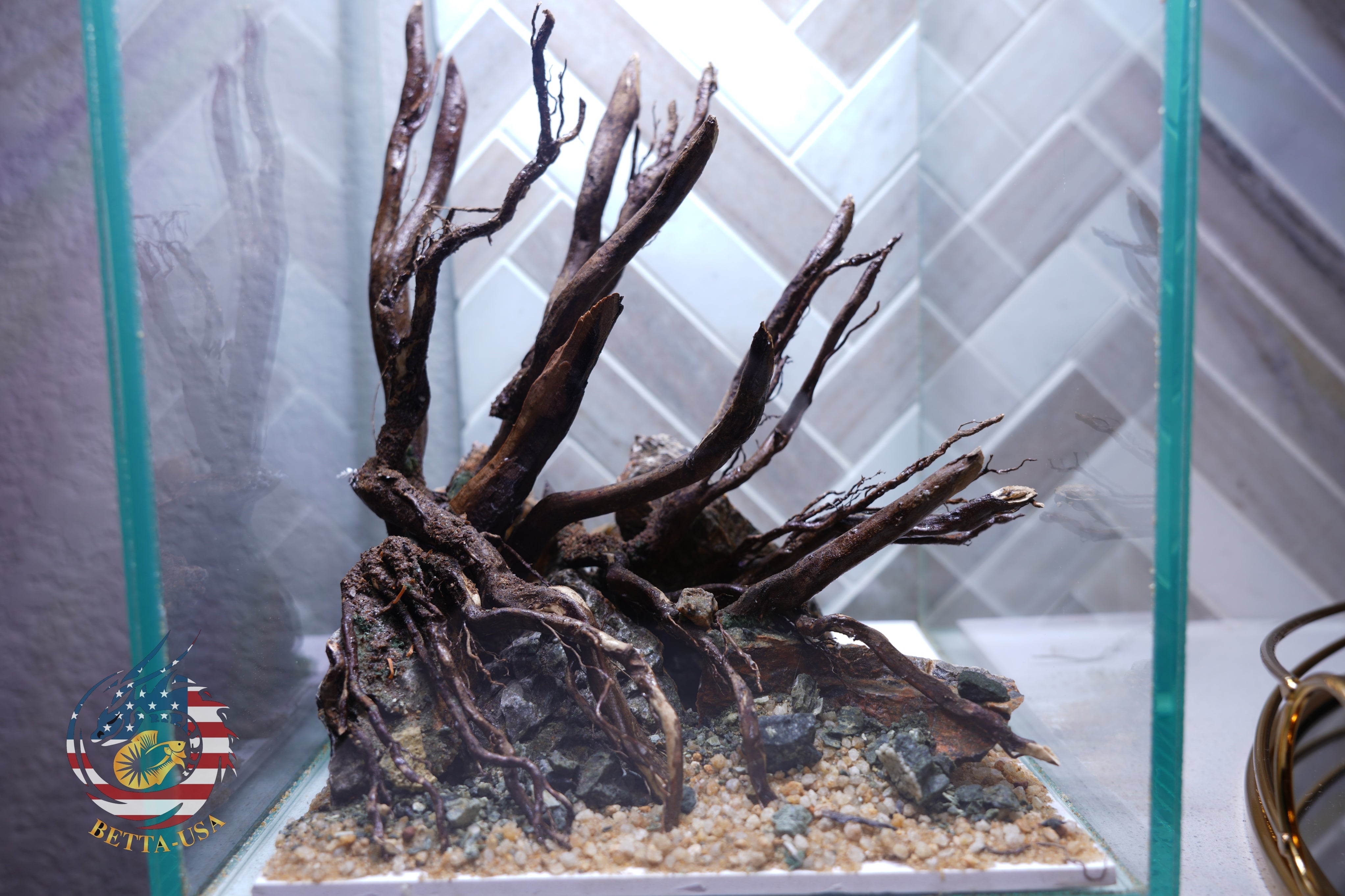 [SCAPE-05] Jungle Aquarium Decor with Driftwood - 3.1 Gallons
