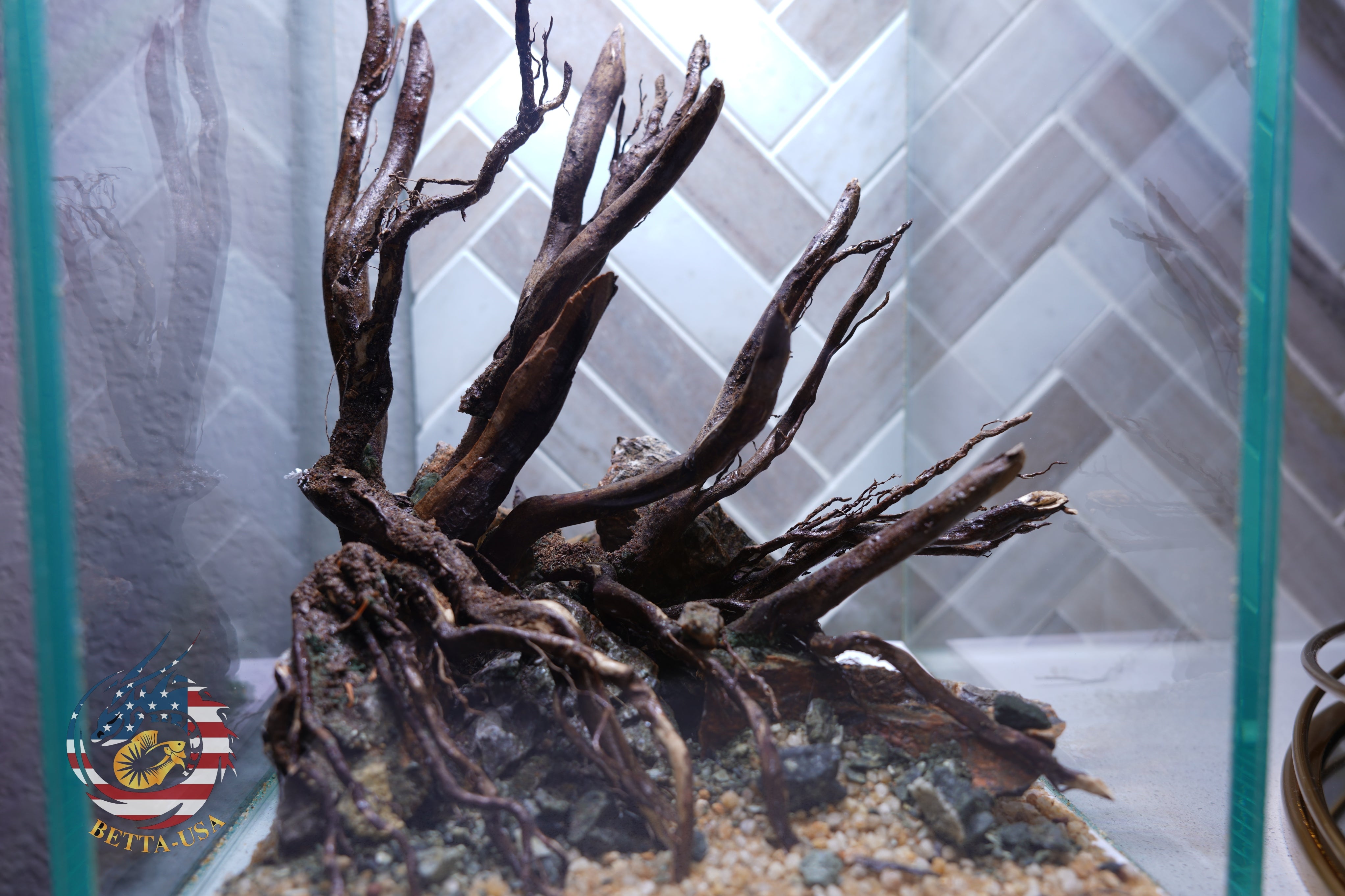 [SCAPE-05] Jungle Aquarium Decor with Driftwood - 3.1 Gallons