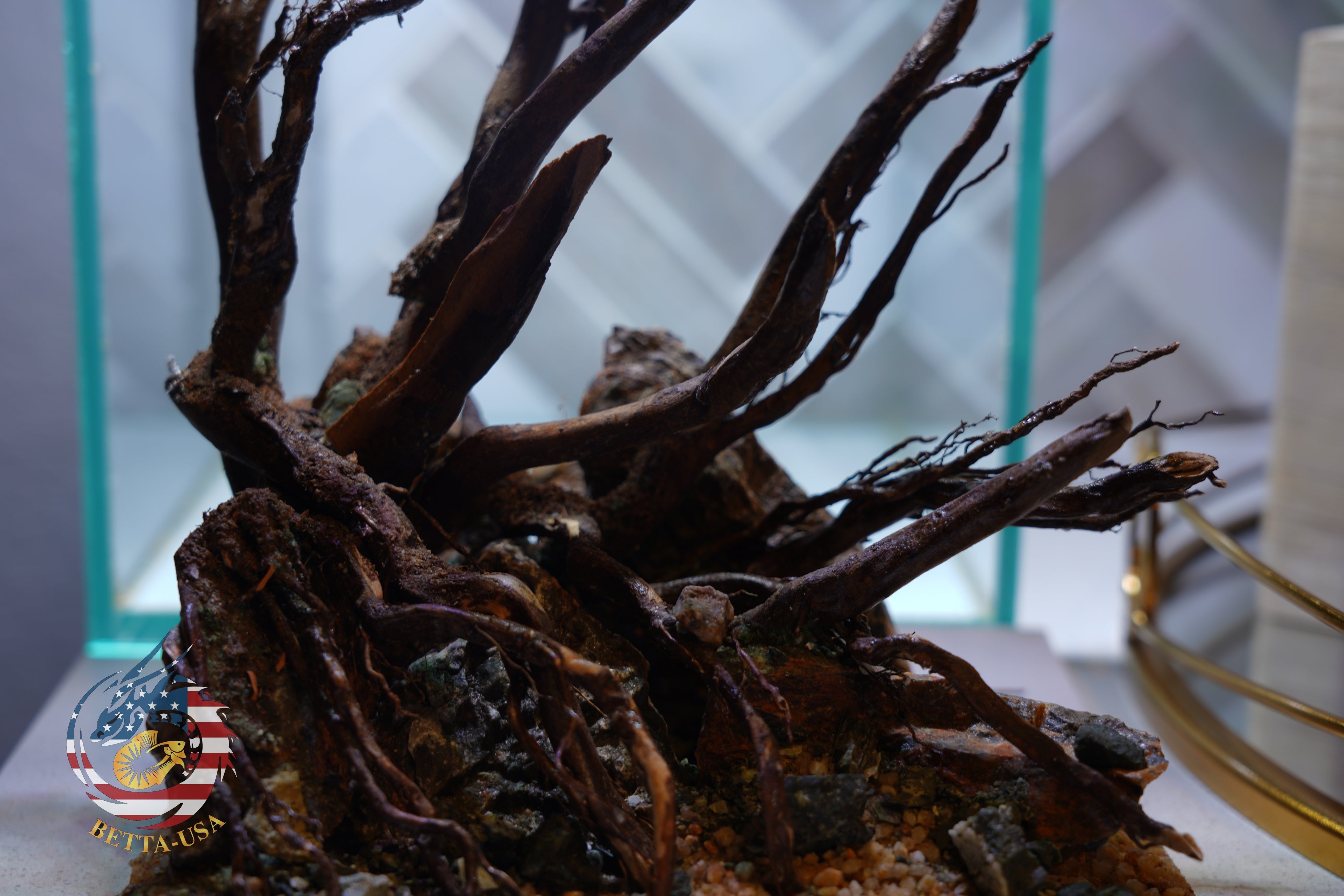 [SCAPE-05] Jungle Aquarium Decor with Driftwood - 3.1 Gallons