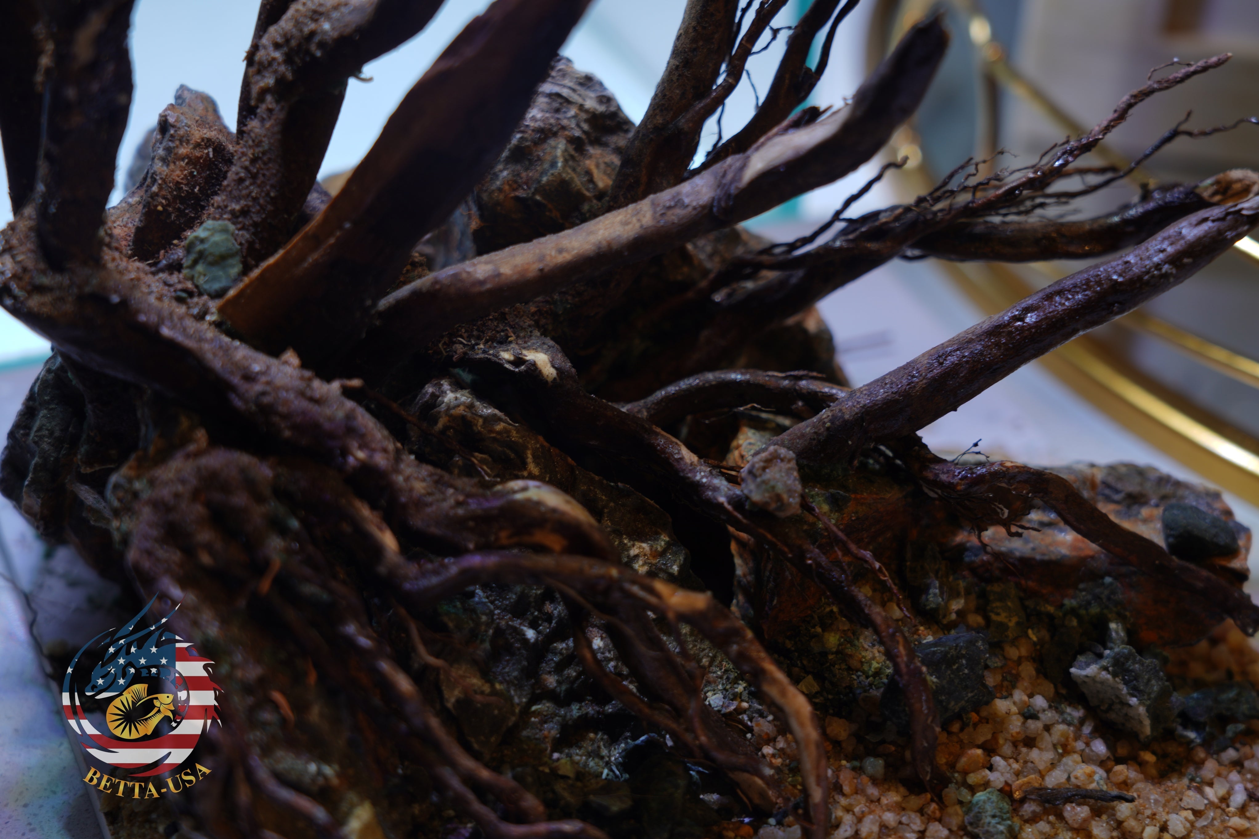 [SCAPE-05] Jungle Aquarium Decor with Driftwood - 3.1 Gallons