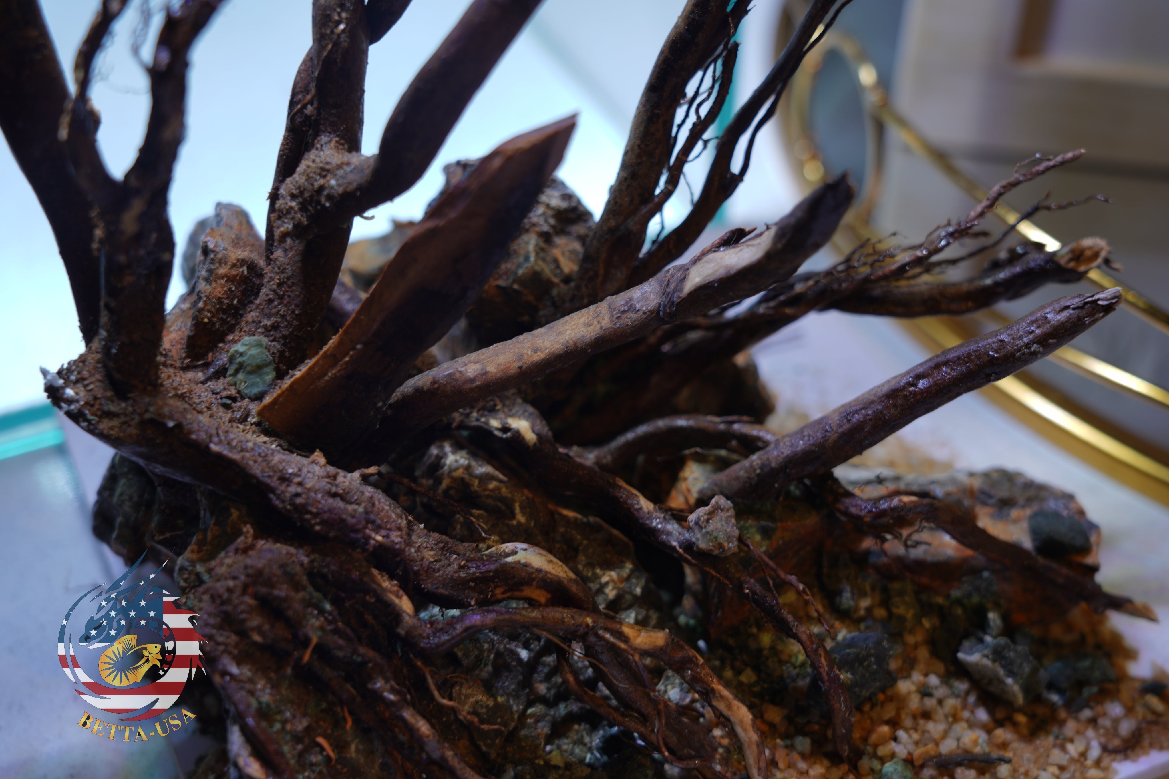 [SCAPE-05] Jungle Aquarium Decor with Driftwood - 3.1 Gallons