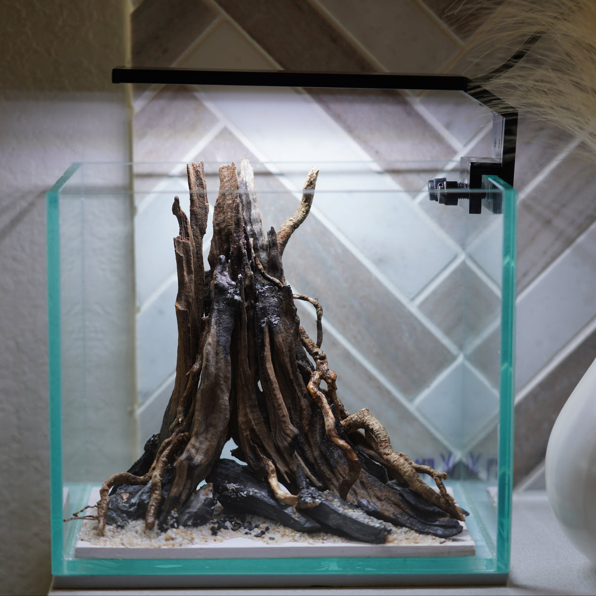 [SCAPE-06] The One-Pillar Aquascape Design – 1 Gallon