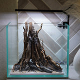 [SCAPE-06] The One-Pillar Aquascape Design – 1 Gallon