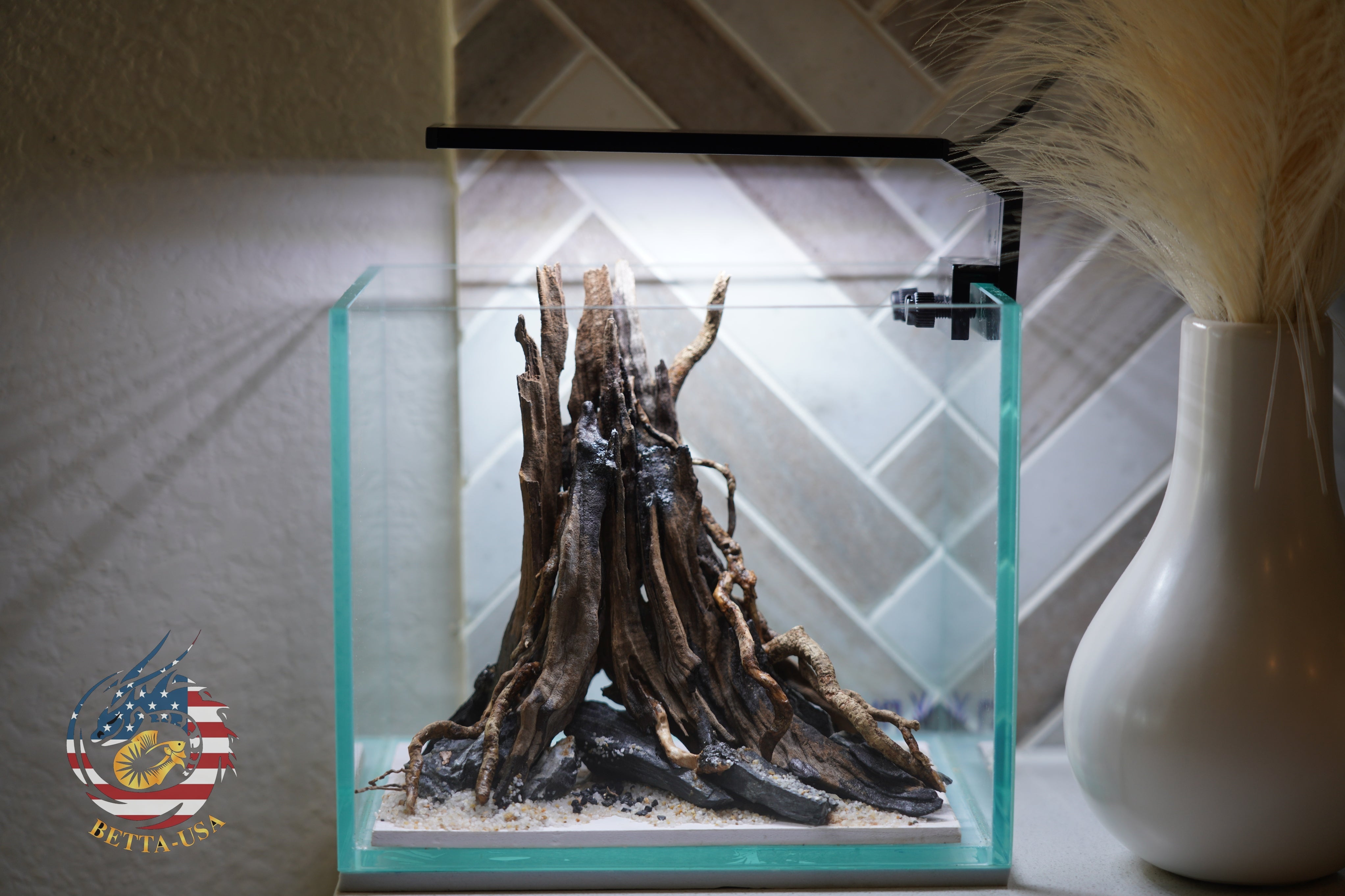 [SCAPE-06] The One-Pillar Aquascape Design – 1 Gallon