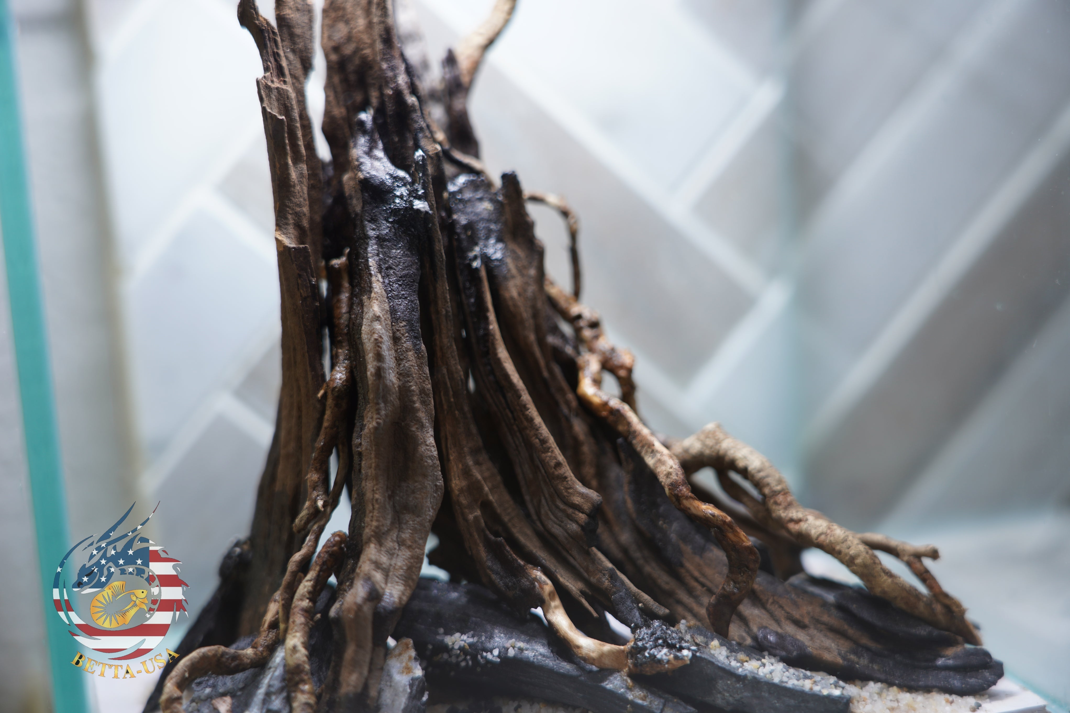 [SCAPE-06] The One-Pillar Aquascape Design – 1 Gallon