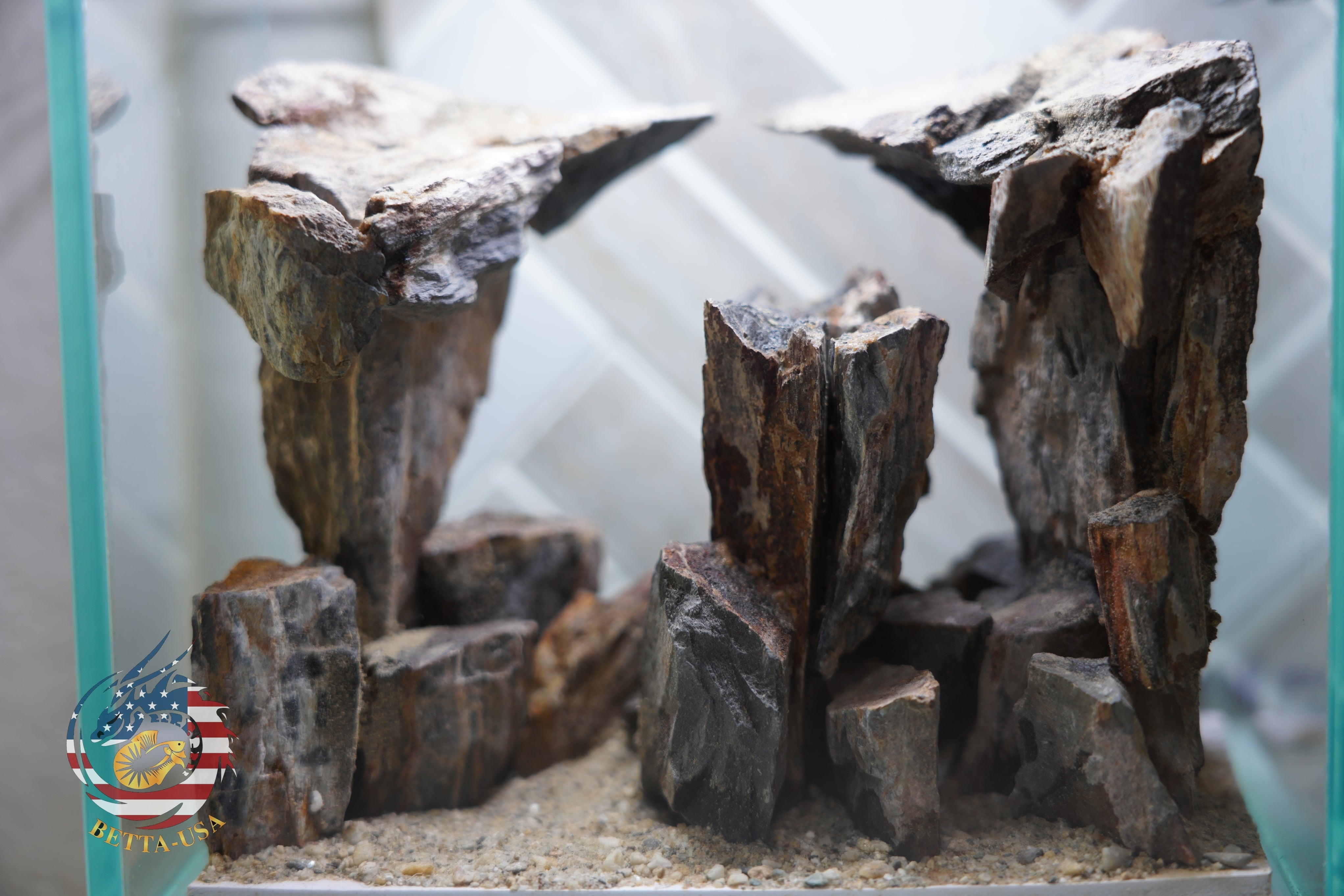 [SCAPE-09] Mountain-Inspired Aquarium Aquascape – 1 Gallon