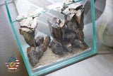 [SCAPE-09] Mountain-Inspired Aquarium Aquascape – 1 Gallon