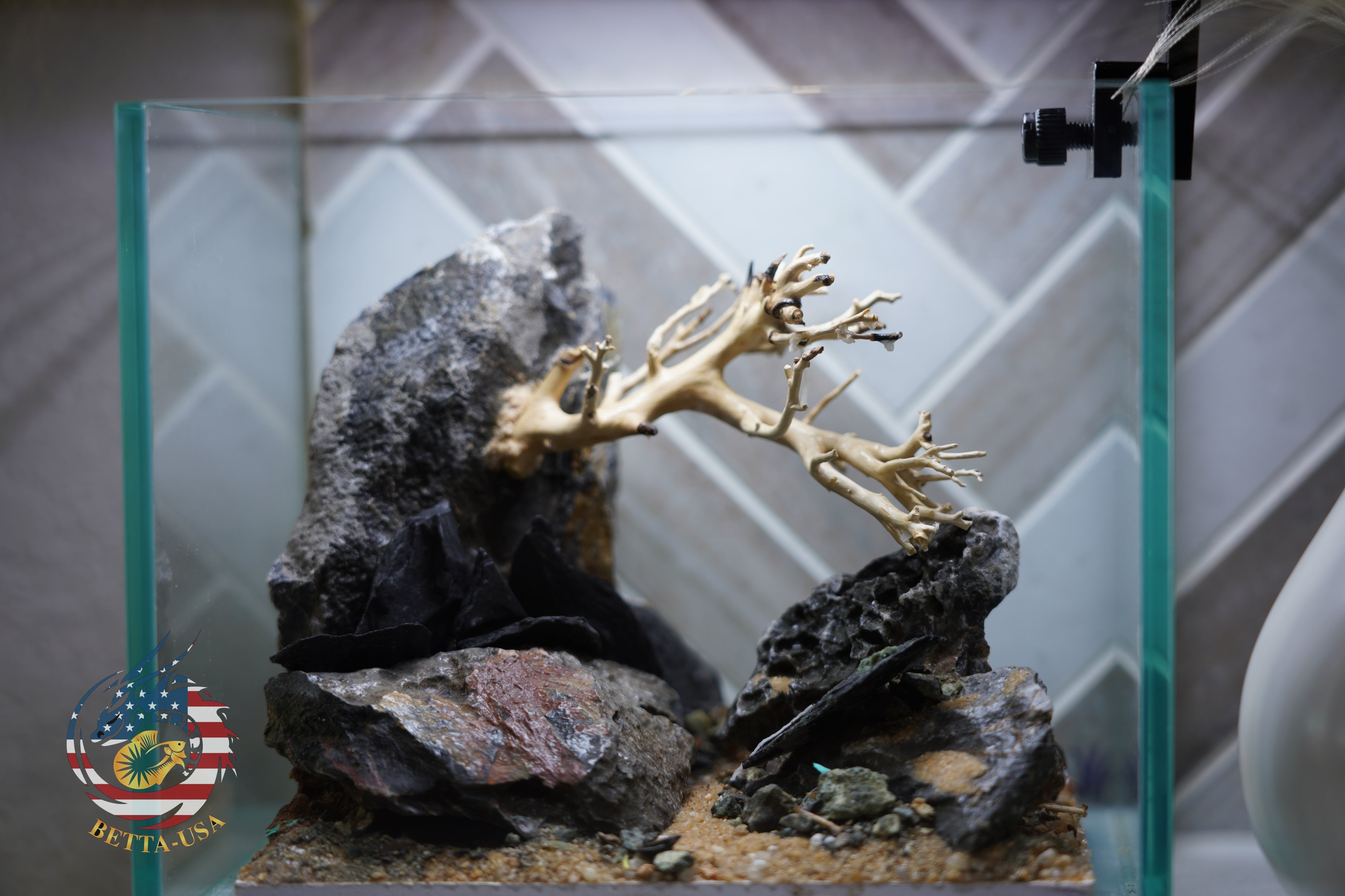 [SCAPE-11] Bonsai on Rock Aquascape Aquarium  – 1 Gallon