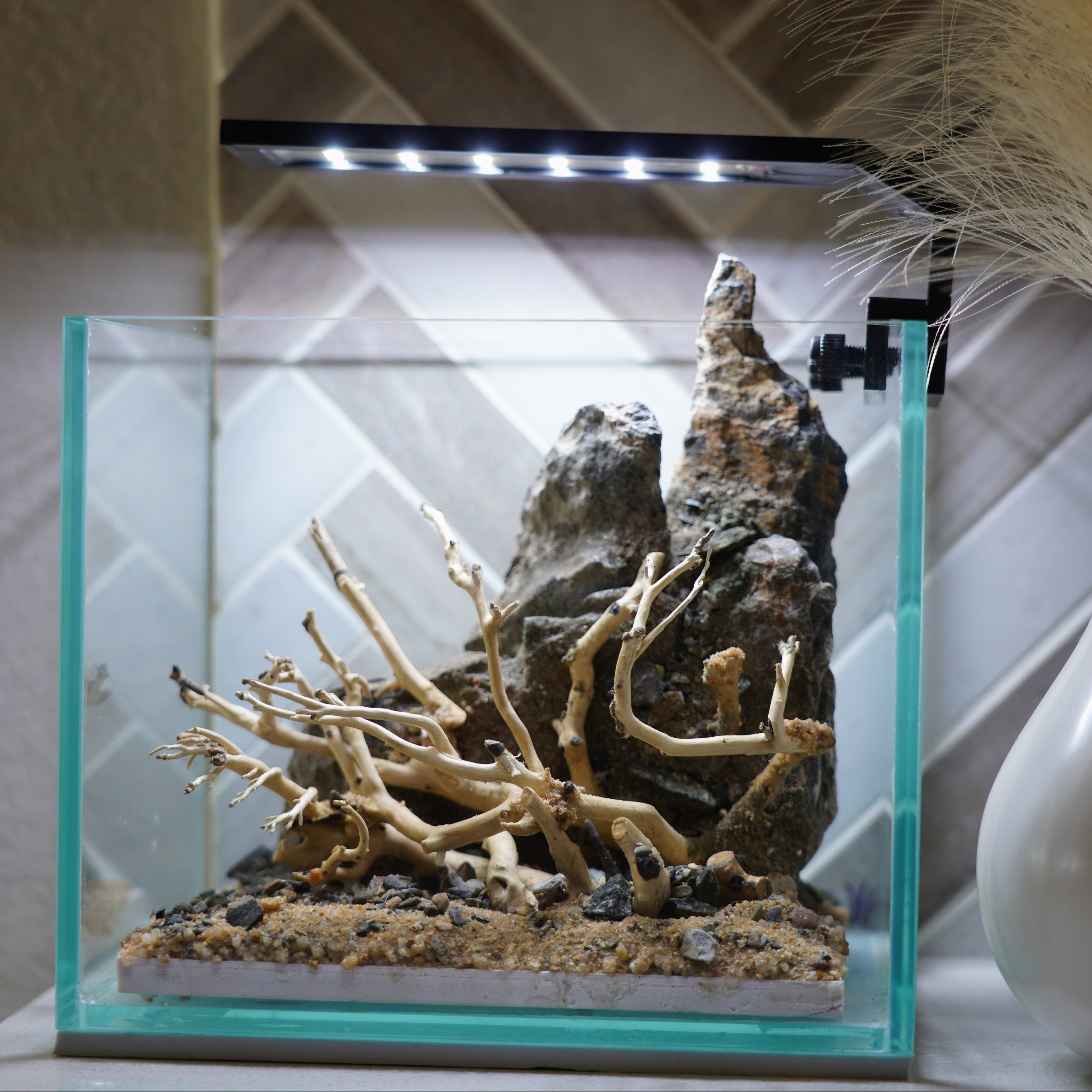 [SCAPE-12] Bonsai on Rock Aquascape Aquarium  – 1 Gallon