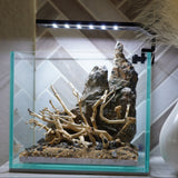 [SCAPE-12] Bonsai on Rock Aquascape Aquarium  – 1 Gallon