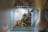[SCAPE-12] Bonsai on Rock Aquascape Aquarium  – 1 Gallon