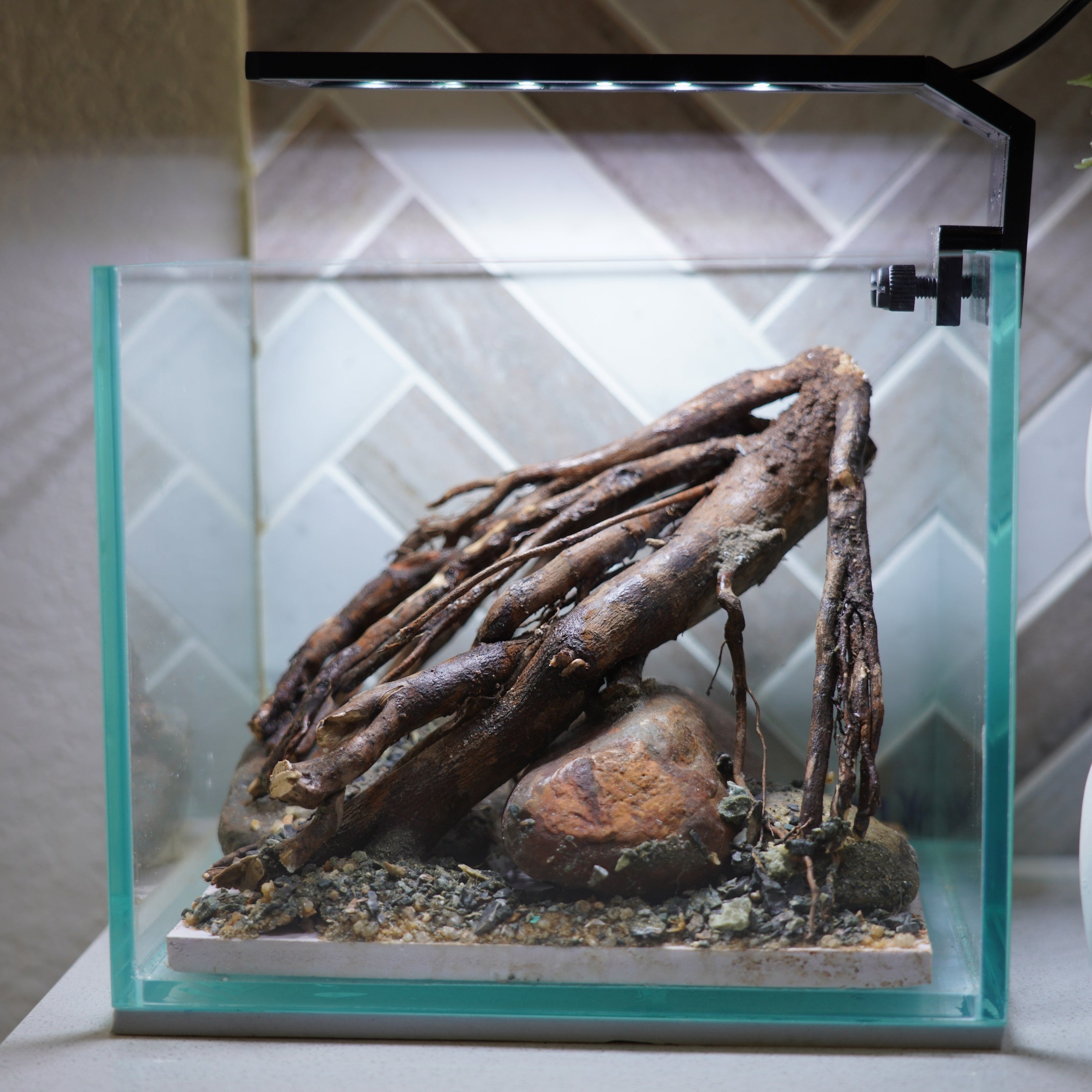 [SCAPE-13] Driftwood Root Aquascape on River Rock – 1 Gallon