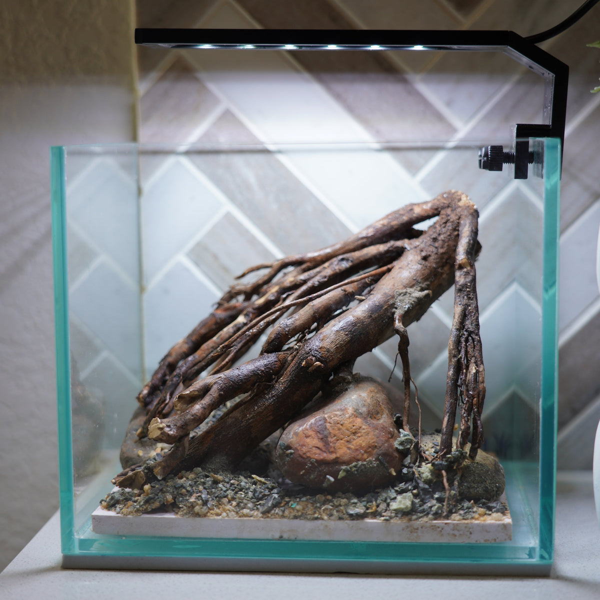 [SCAPE-13] Driftwood Root Aquascape on River Rock – 1 Gallon