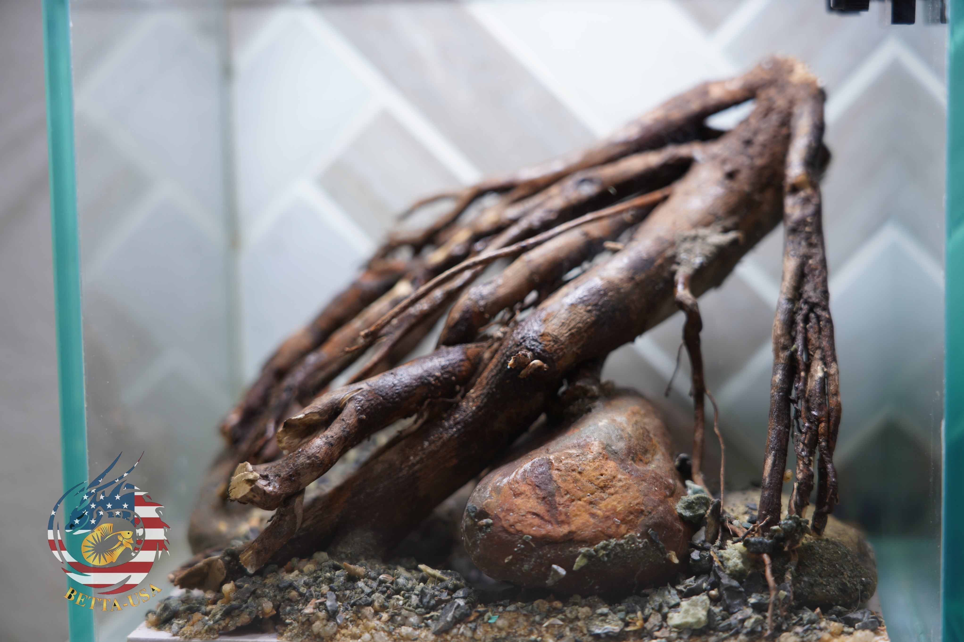 [SCAPE-13] Driftwood Root Aquascape on River Rock – 1 Gallon