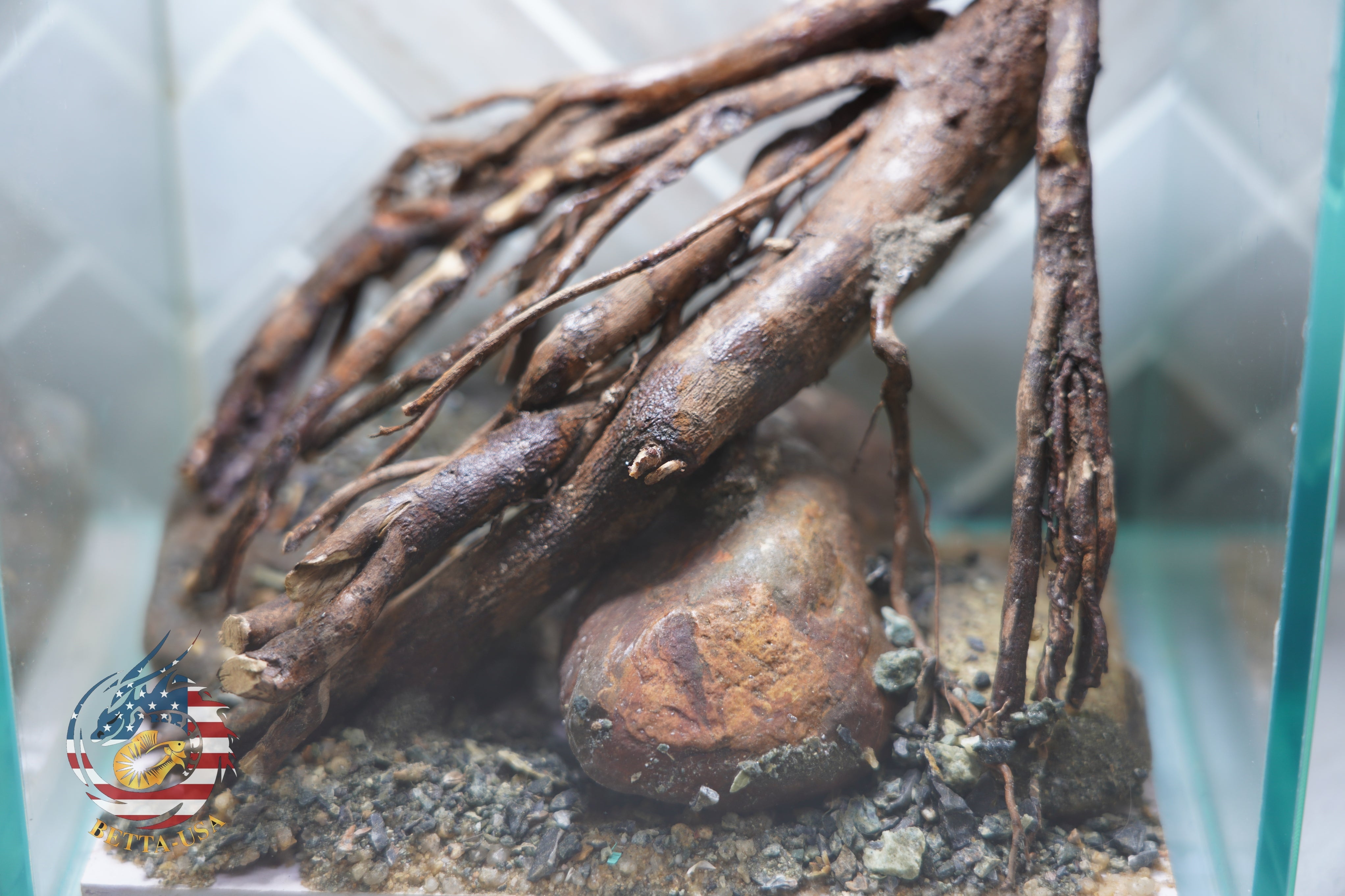[SCAPE-13] Driftwood Root Aquascape on River Rock – 1 Gallon