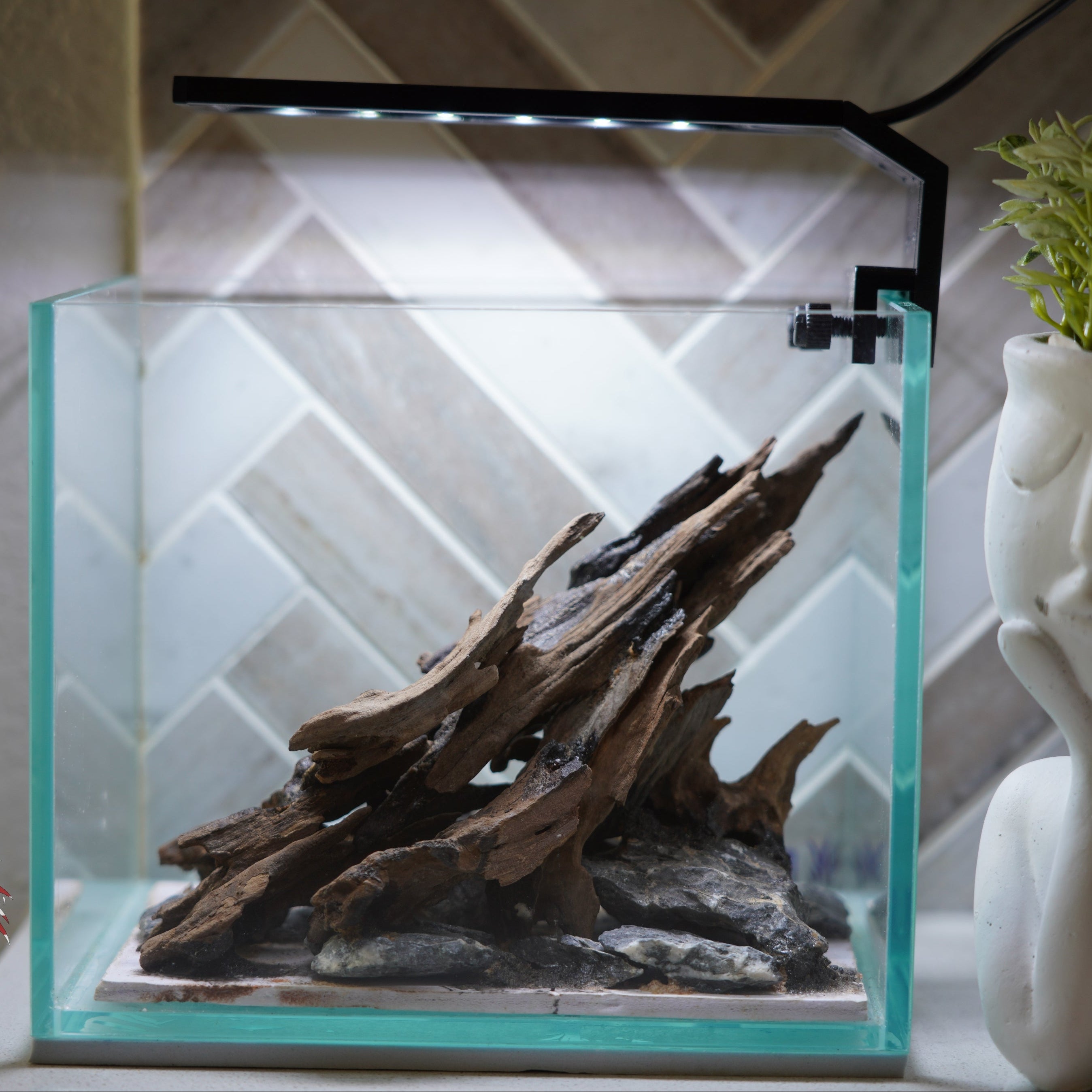 [SCAPE-14] Nature Aquarium Aquascape Driftwood – 1 Gallon