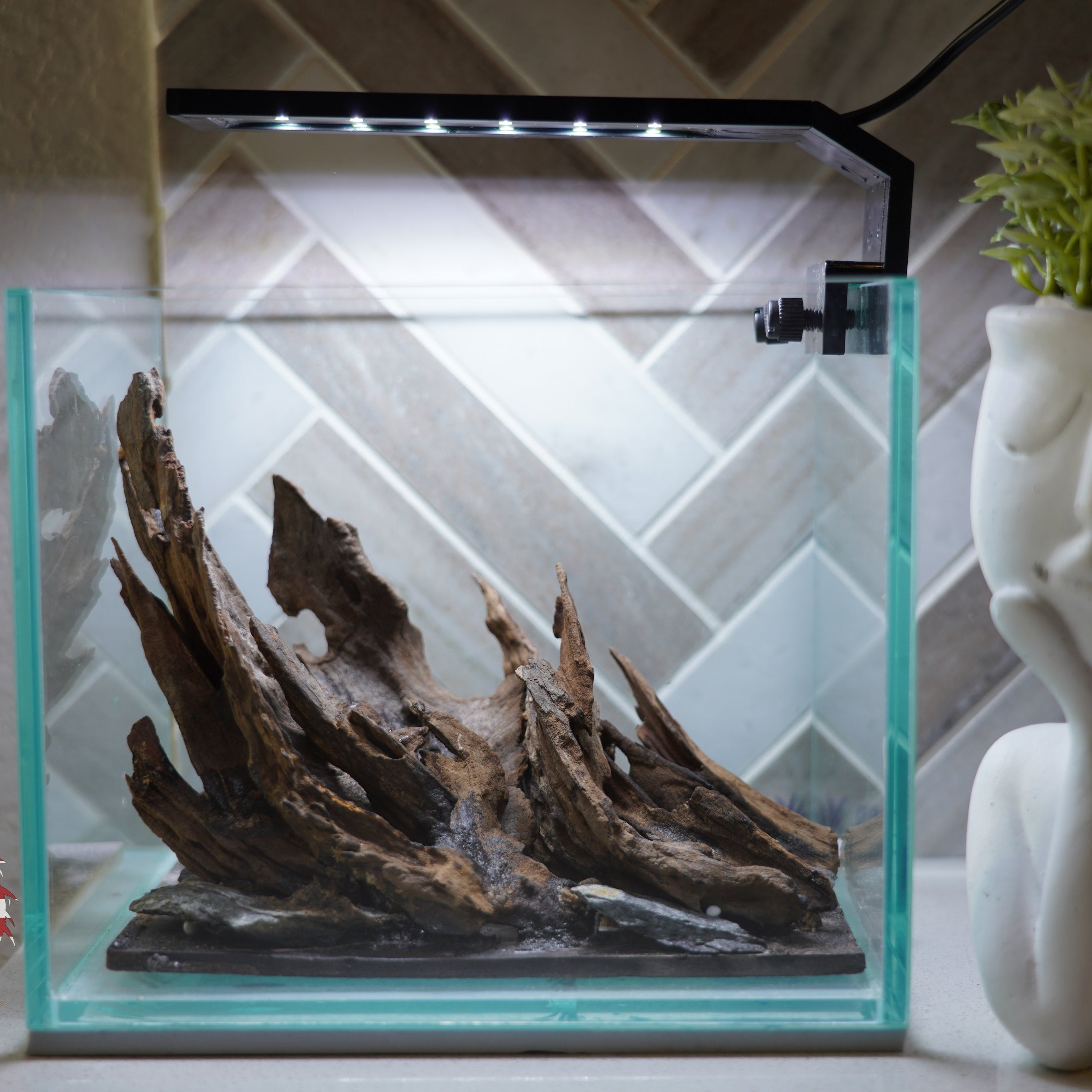 [SCAPE-16] Nature Aquarium Aquascape Driftwood – 1 Gallon