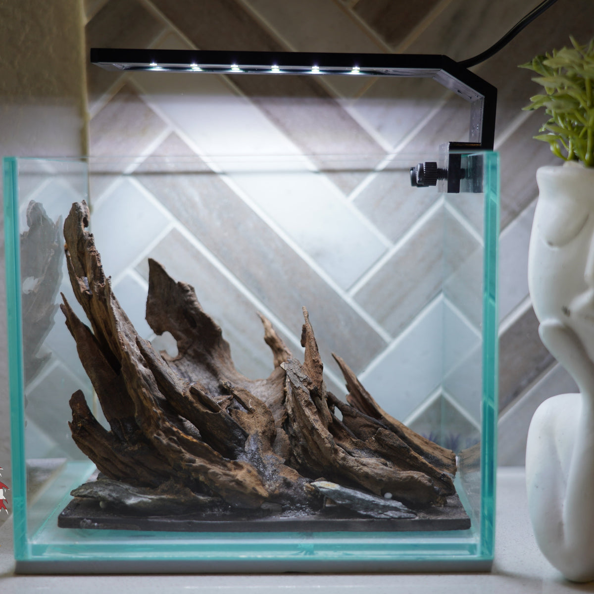 [SCAPE-16] Nature Aquarium Aquascape Driftwood – 1 Gallon