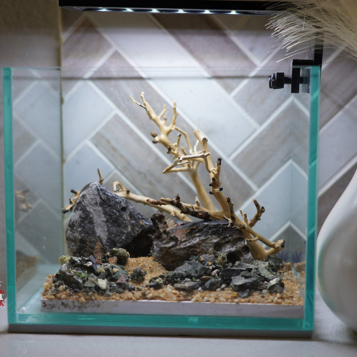 [SCAPE-17] Bonsai on Rock Aquascape Aquarium  – 1 Gallon