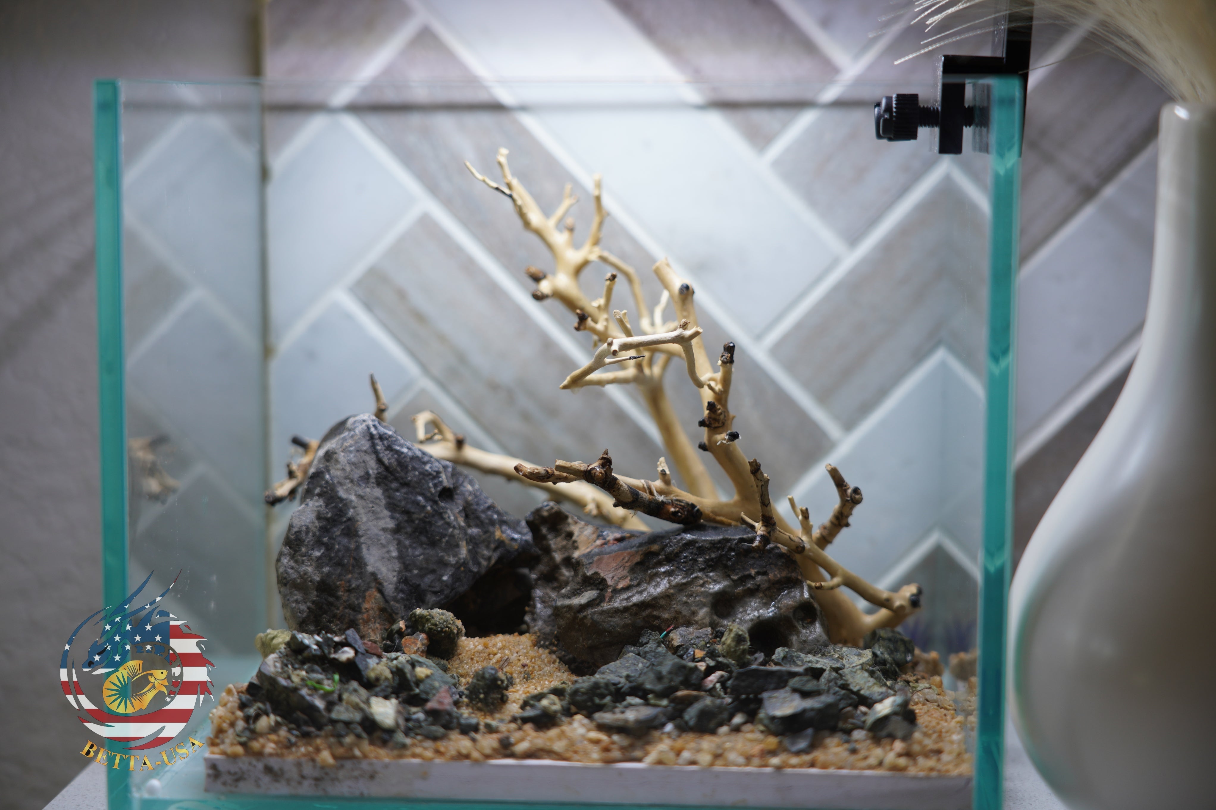 [SCAPE-17] Bonsai on Rock Aquascape Aquarium  – 1 Gallon