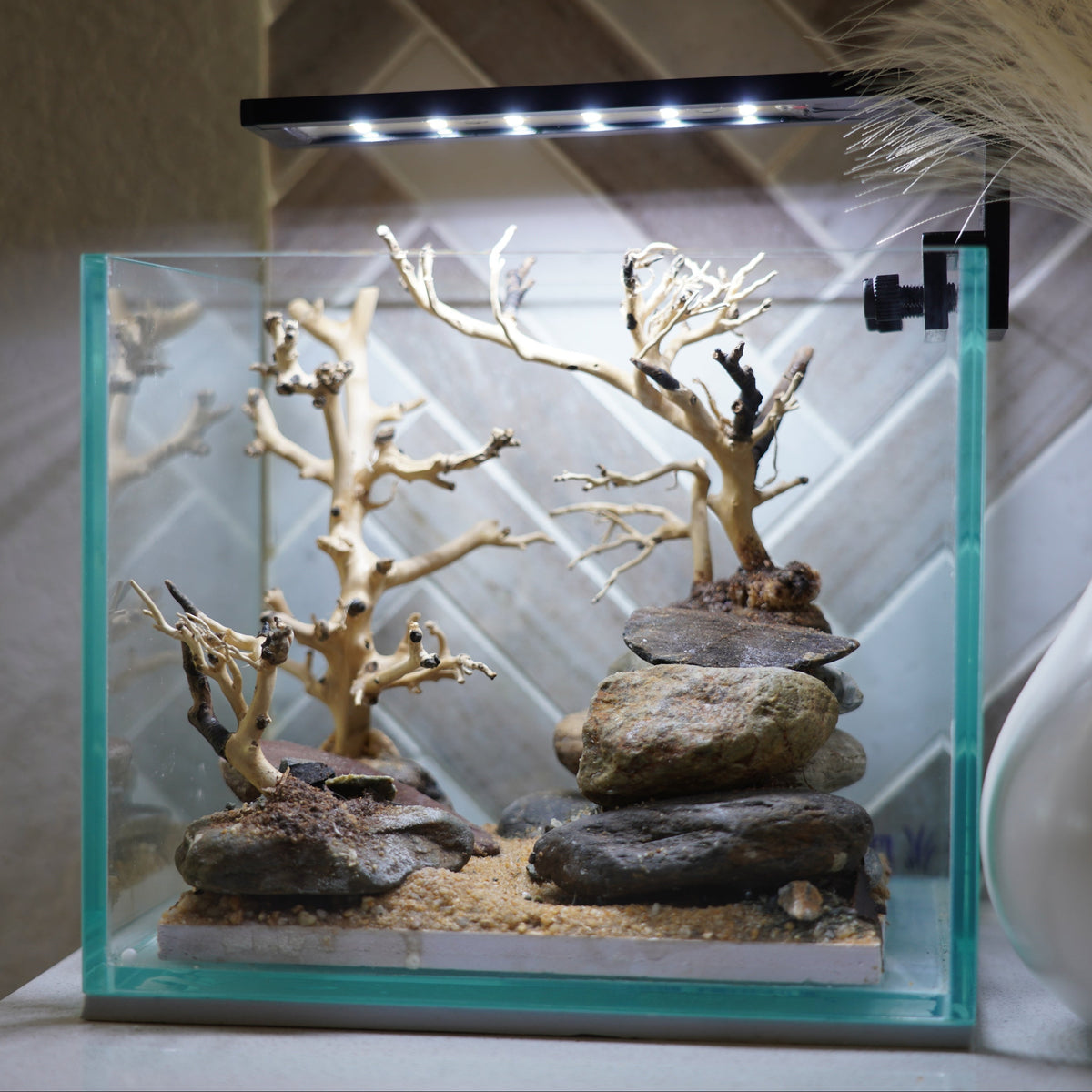 [SCAPE-18] Bonsai on Rock Aquascape Aquarium  – 1 Gallon